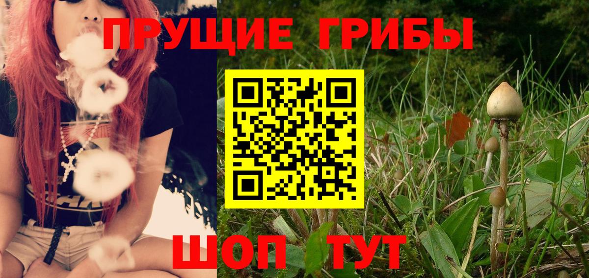Касимов  Галлюциногенные грибы Magic Shrooms  Вход с VPN 
